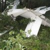 В Беларуси разбился самолет: есть погибшие (фото) 