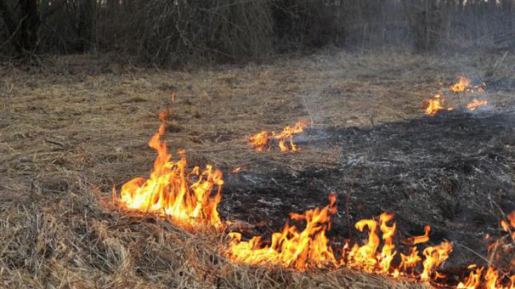 В Житомирской области загорелись торфяники 