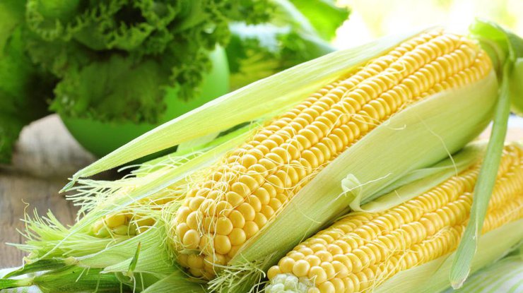 Китай отказался от украинской кукурузы из-за вредителей