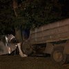 На Прикарпатье грузовик сбил полицейского (фото)
