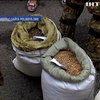 В Ривненской области спецназ задержал причастных к скупке янтаря