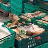 В Британии открыли супермаркет с едой из помоек (фото) 