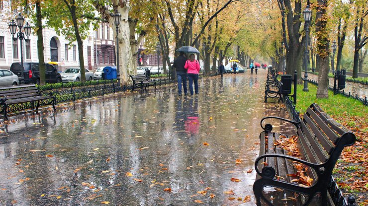 Погода на 29 сентября: в Украину грядут дожди