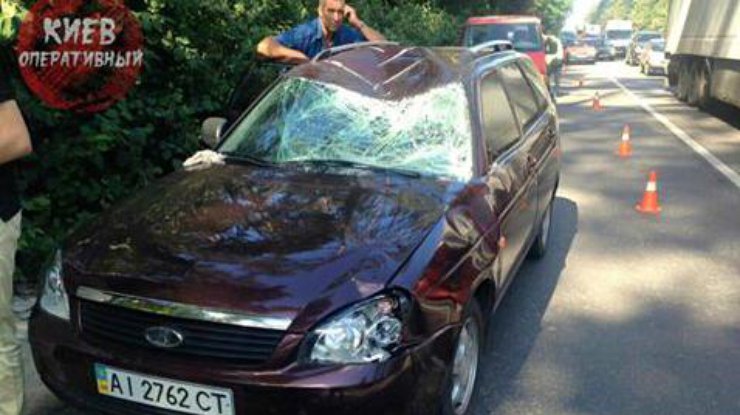Под Киевом водитель "Лады" на шоссе насмерть сбил лося