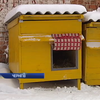 У Чернігові безпритульні рятують від морозу бродячих собак