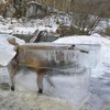 В Германии в замерзшей глыбе льда обнаружили лису (фото)