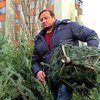 Украинцы массово выбрасывают елки: как правильно утилизировать дерево