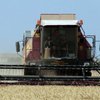 Украина собрала рекордный урожай зерновых