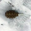 В Донецкой области подростки нашли гранату Ф-1