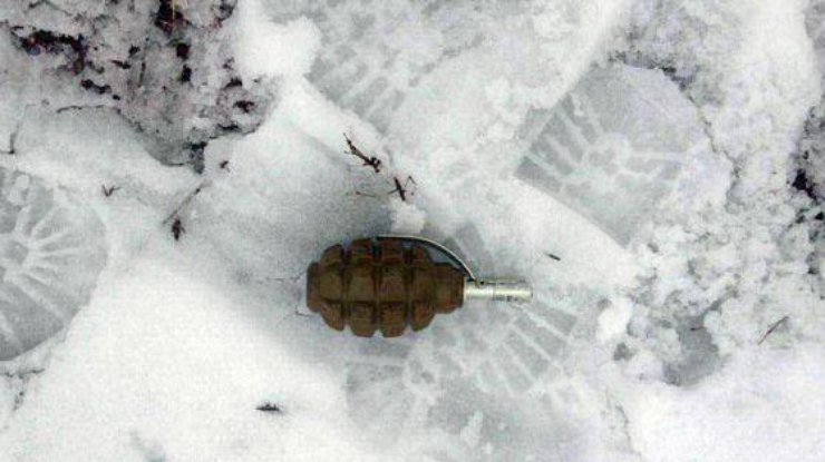 В Донецкой области подростки нашли гранату Ф-1
