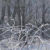 Погода на 19 января: в Украине усилятся морозы 