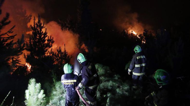В Чили из-за сильнейших пожаров объявили режим чрезвычайной ситуации 