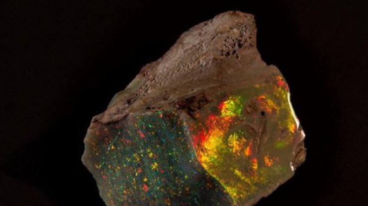 Необычный опал нашел горнодобытчик Уолтер Бертрам около города Кубер-Педи в Австралии