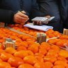 В Украину не пустили более 273 тонн зараженных мандарин 