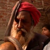 В Індії заклиначі змій намагаються зберегти професію