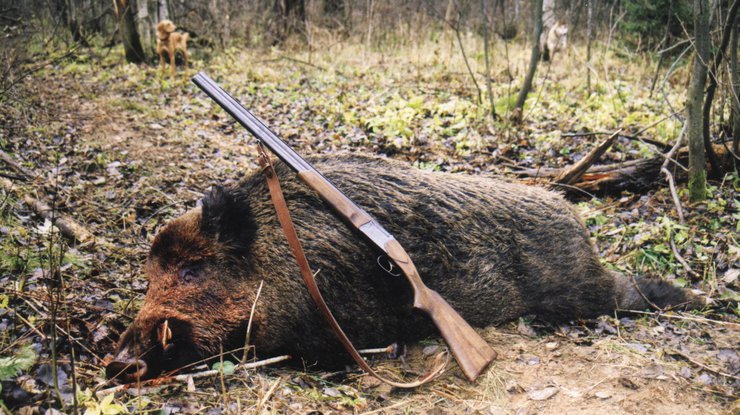 В Украине ужесточат наказание для браконьеров