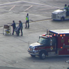 В аэропорту Флориды произошла стрельба, есть погибшие (фото)
