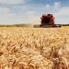 В Украине отменили налоговый спецрежим для сельского хозяйства
