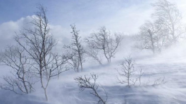 Снегопад в Украине: на западе страны ожидаются сильные метели (фото: fonwall.ru)