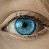 Всемирный день зрения: какие продукты полезны для глаз