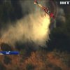 В Каліфорнії у лісових пожежах загинула 31 людина