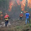 Пожары в Португалии: количество жертв снова увеличилось 