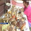 На Прикарпатті десятки людей отруїлися грибами