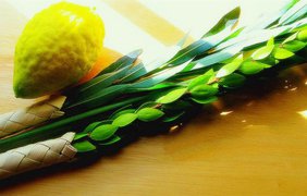 Суккот: история и традиции праздника кущей