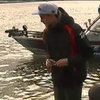 У Києві рибалки випустили в Дніпро 20 тисяч рибин