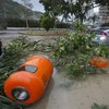 Тайфун "Дамри" во Вьетнаме: число жертв продолжает расти 