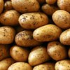 В США создали "золотую" картошку с витаминами 