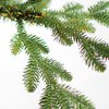 Новый год-2018: как выбрать натуральную елку