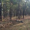 Жуткая трагедия: в Киеве нашли мертвыми двух молодых мужчин