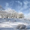 Погода в Украине: начало недели будет холодным 