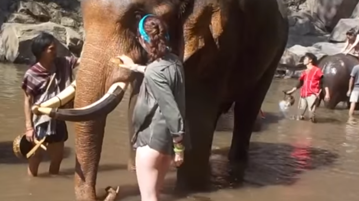 В Таиланде слон напал на туристку. Фото: кадр из видео