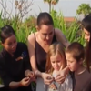 Анджелина Джоли накормила своих детей пауками