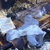 Трагедия в Киеве: парня зарезали и подожгли в собственной квартире (фото) 