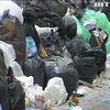 Львовский мусор: на полигоны вывезли 1500 тон отходов 