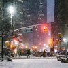 Нью-Йорк засыпало снегом (фото)