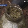 На Прикарпатье изъяли рекордную партию наркотиков 