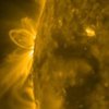 NASA опубликовало уникальное видео Солнца