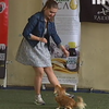 У Києві пройшли танці з собаками (відео)