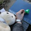 В Славянске полиция задержала девушку с наркотиками в игрушечном медведе