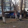 В Киеве рухнуло дерево на припаркованные автомобили (фото)