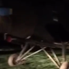 На границе с Молдовой пограничники нашли самолет с "перебитым" номером (видео) 