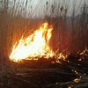 В Украине за сутки произошло рекордное количество пожаров 
