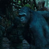 Вышел новый трейлер фильма "Планета обезьян: Война" (видео)