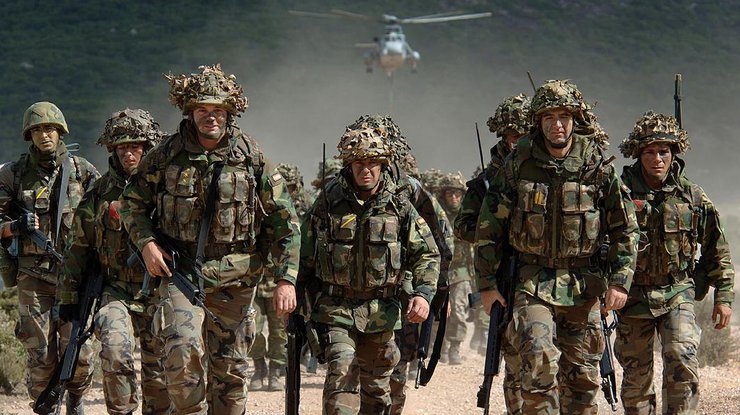 Украина и Грузия приблизят армии к стандартам НАТО