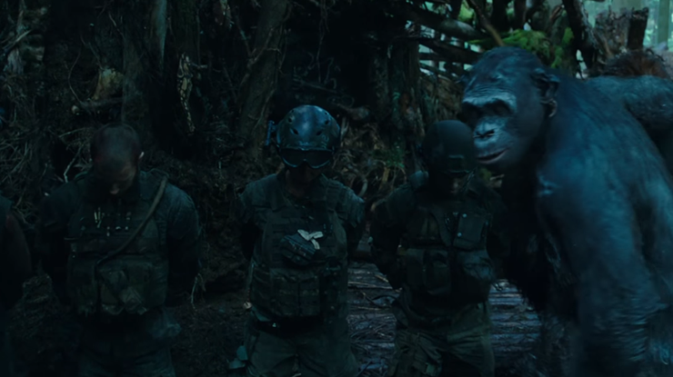 Вышел новый трейлер фильма "Планета обезьян: Война". Фото: кадр из видео