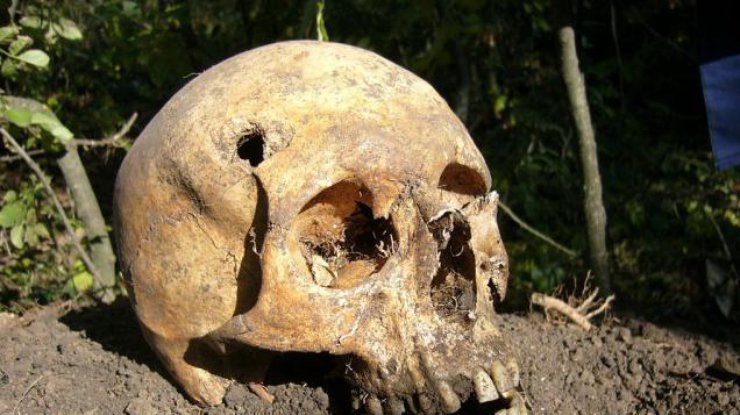 В Китае обнаружили черепа неизвестного вида человечества